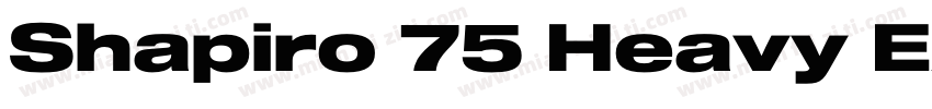 Shapiro 75 Heavy Extd字体转换